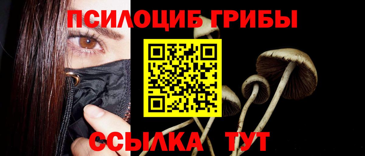 Псилоцибиновые грибы Magic Shrooms  Вход с VPN  Ухта 